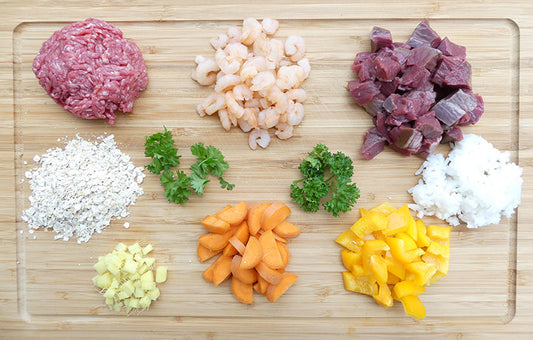 Fütterungstipps für gesunde Hundeernährung