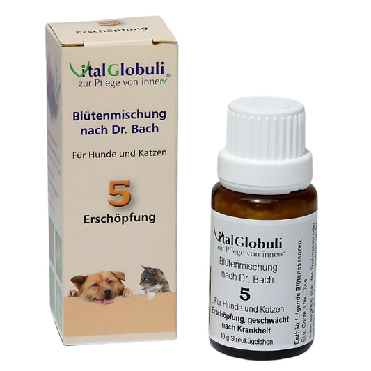 Bachblüten - Erschöpfung