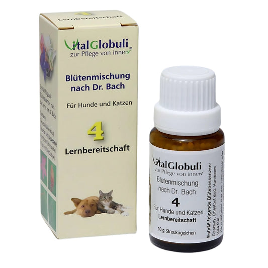 Bachblüten - Lernbereitschaft