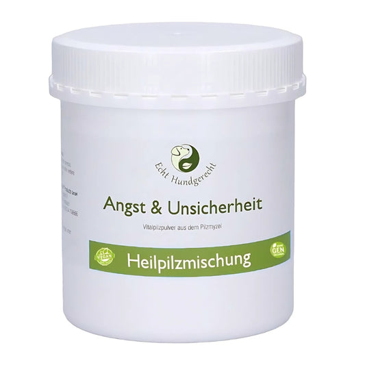 Heilpilze für Angsthunde