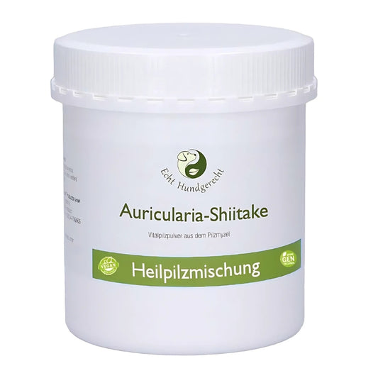 Heilpilze für den Bewegungsapparat