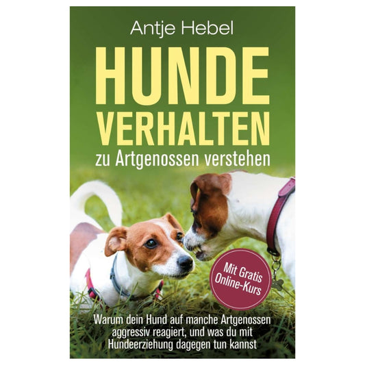 Hundeverhalten zu Artgenossen verstehen