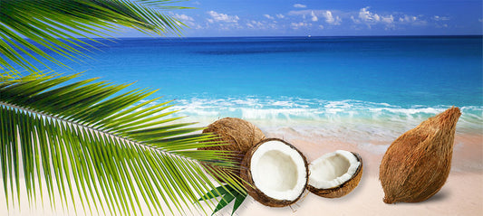 Kokosöl für Hunde - Anwendung und Wirkung