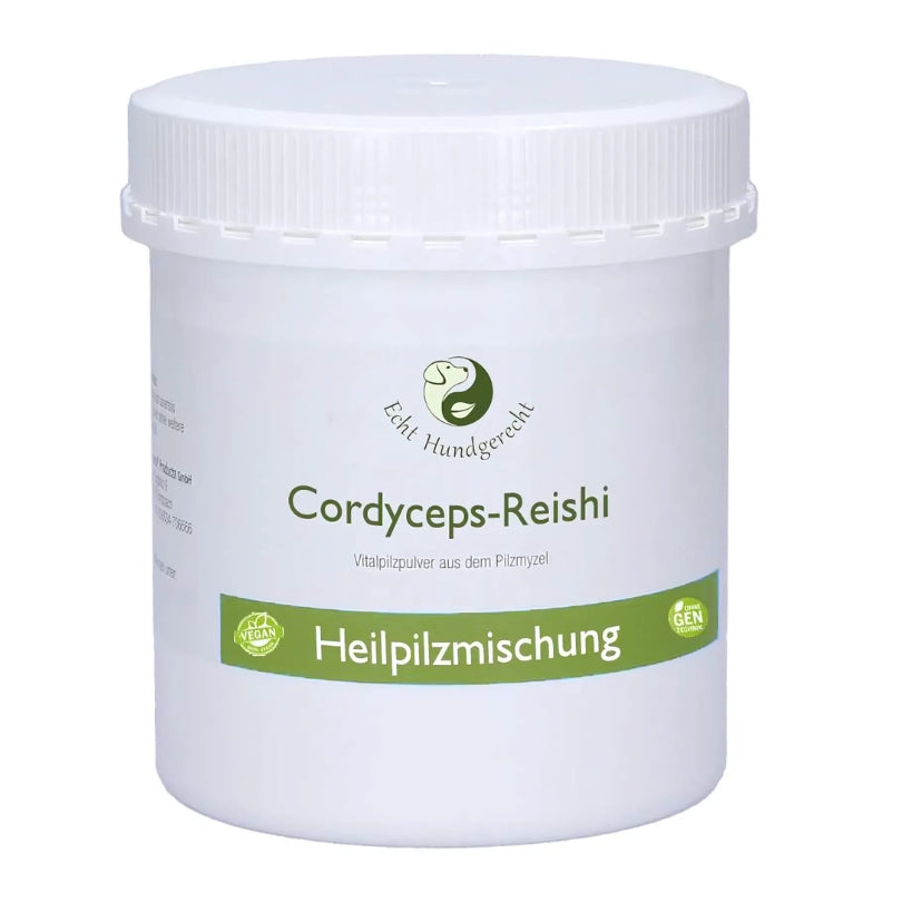 Heilpilze fürs Immunsystem