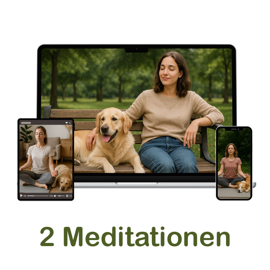 Entspannungs-Meditation „Entspannte Hunde-Spaziergänge“